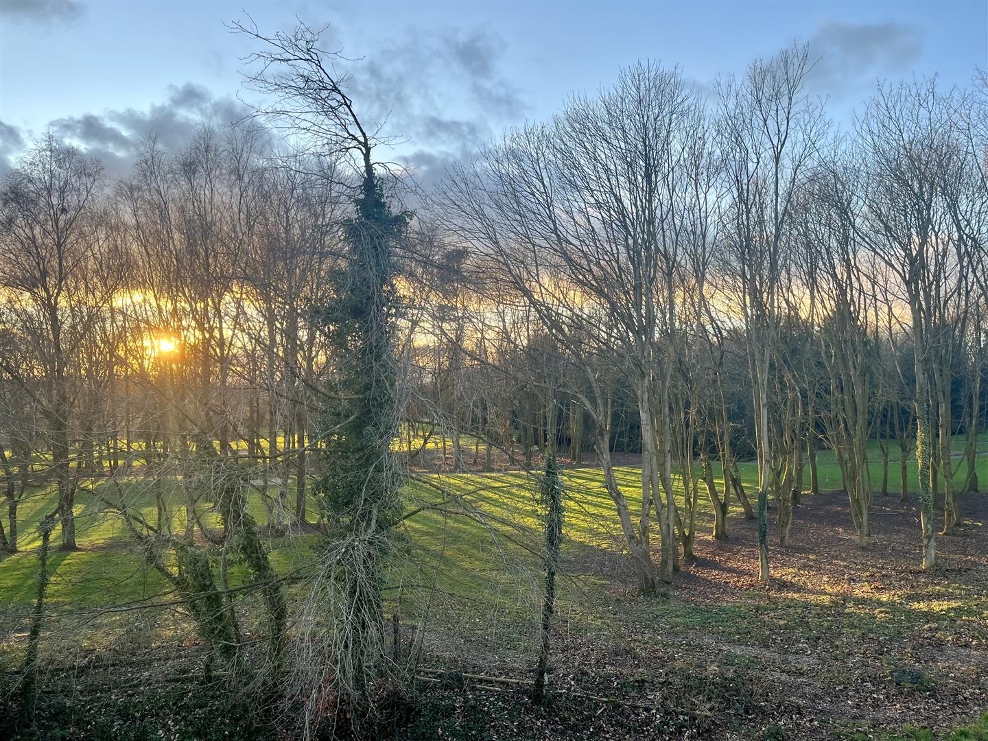 Apartment 4, Terrick Hall, Whitchurch, SY13 4JZ Estate Agents & Auctioneers